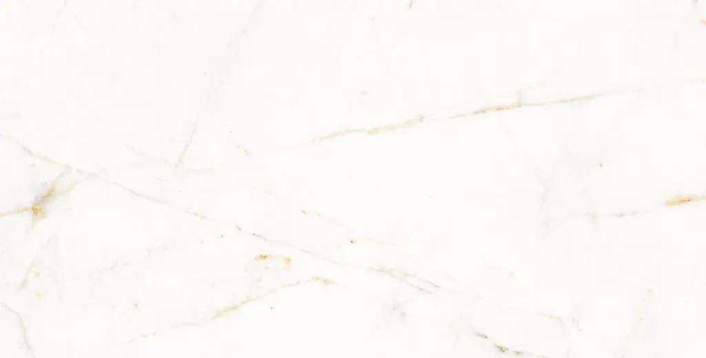 11PM120P TREVI PULIDO L10V3 copia.webp