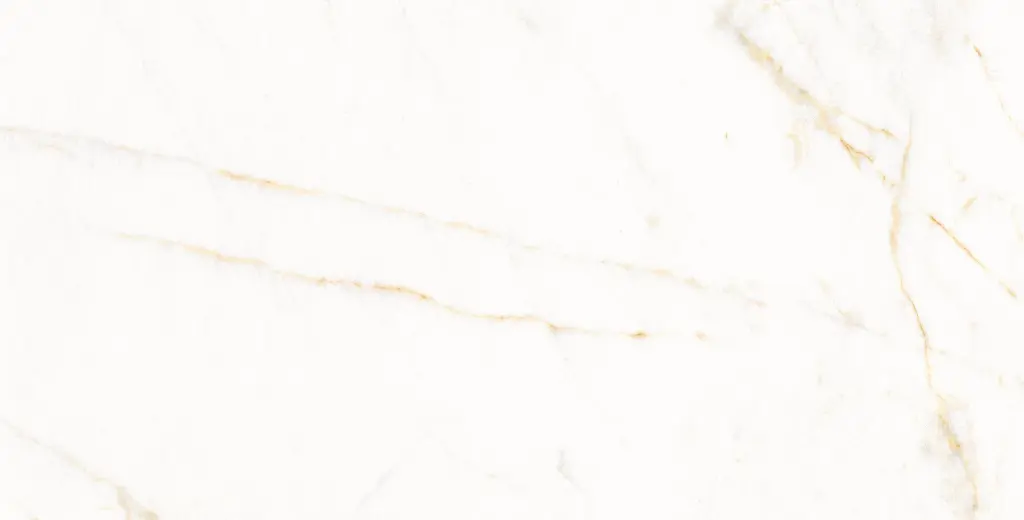 11PM120P TREVI PULIDO L13V3 copia.webp