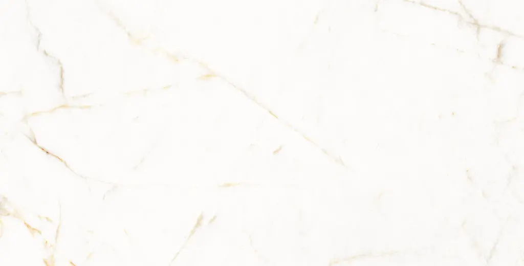 11PM120P TREVI PULIDO L5V3 copia.webp