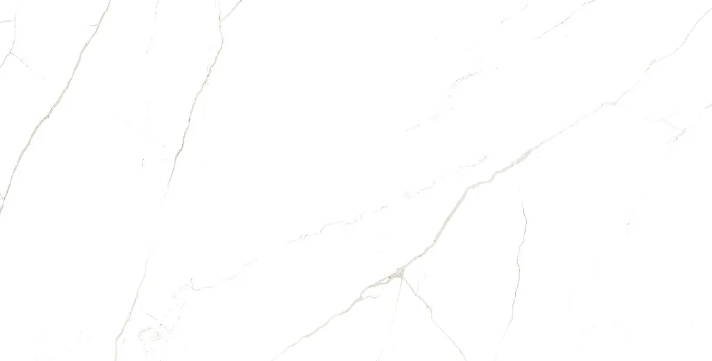 PISSANO WHITE-02.webp