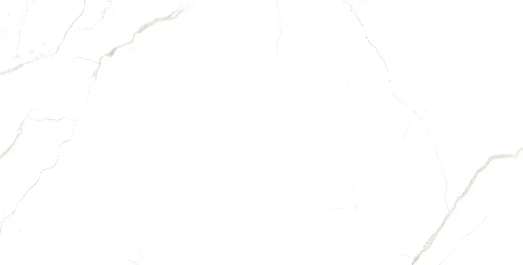 PISSANO WHITE-04.webp