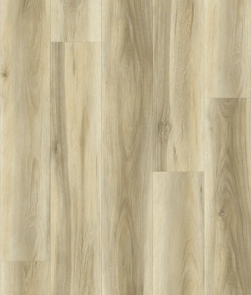 Oak Nordico_Layout.webp