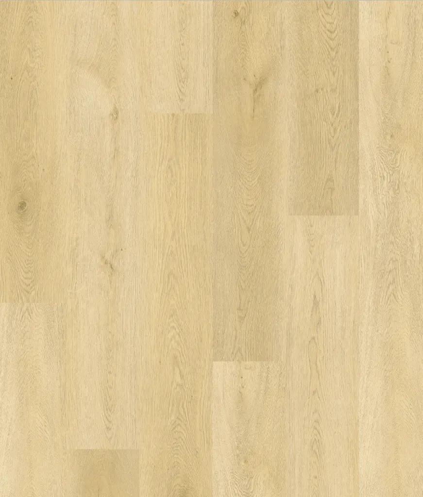 Oak Balanced_Layout.webp