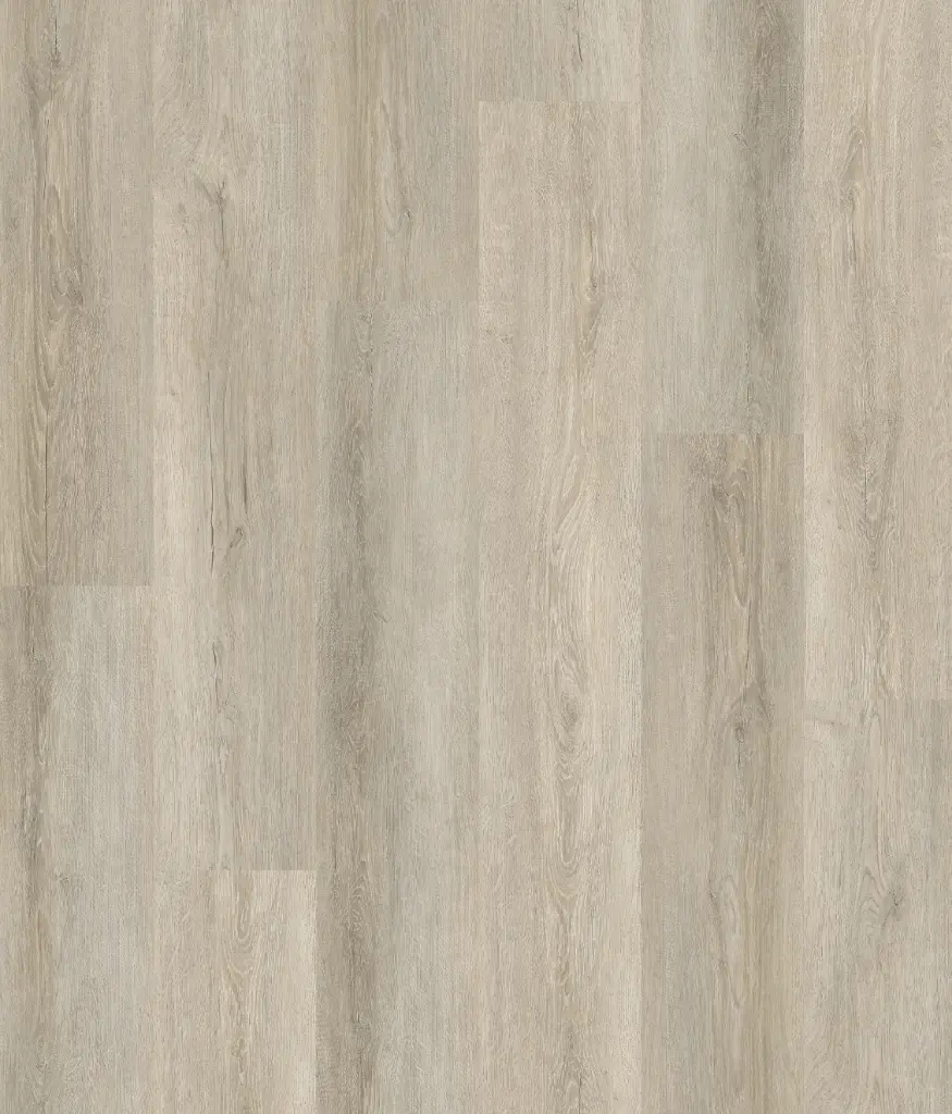 Oak Sole-Layout.webp