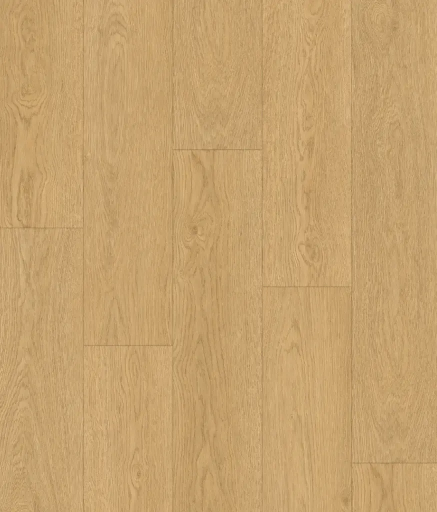 Oak Spritz_Layout.webp