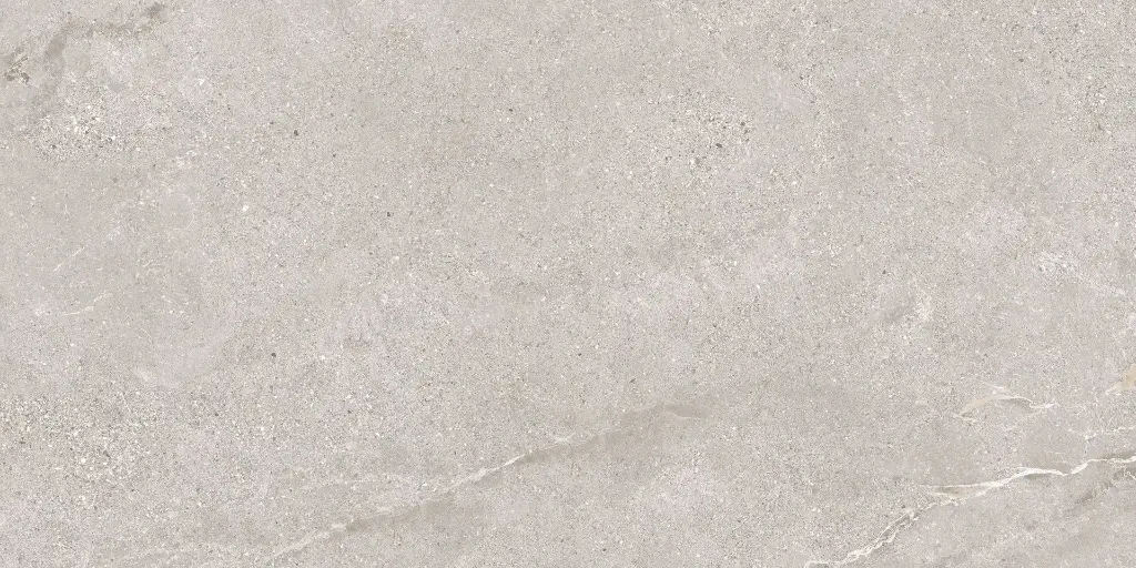 Stellar Mud 60X120 @11.webp