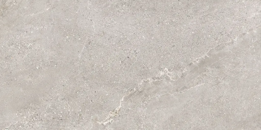 Stellar Mud 60X120 @1.webp