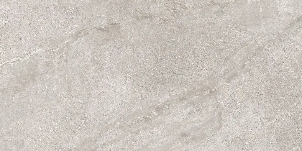 Stellar Mud 60X120 @12.webp