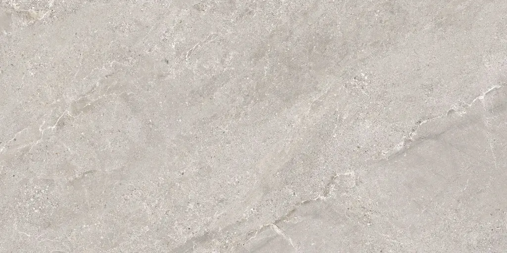 Stellar Mud 60X120 @16.webp