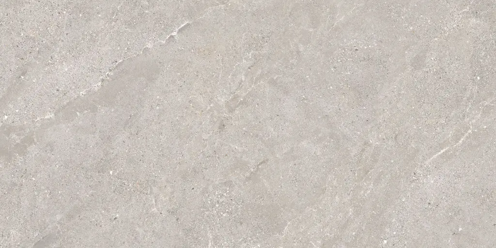 Stellar Mud 60X120 @15.webp