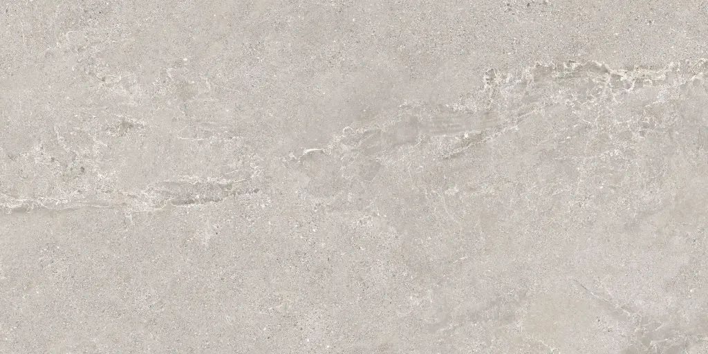 Stellar Mud 60X120 @13.webp