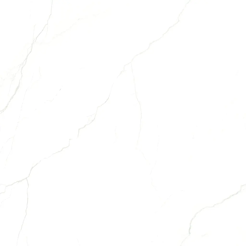 PISSANO WHITE_sat -01.webp