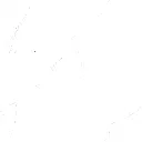 PISSANO WHITE_sat -01.webp