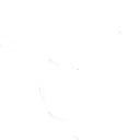 PISSANO WHITE_sat -07.webp