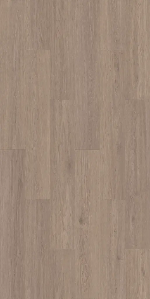 Cool Sandy installed.webp