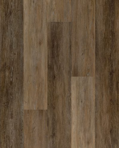 SPC Evolution Munich Gold