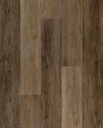 SPC Evolution Munich Gold
