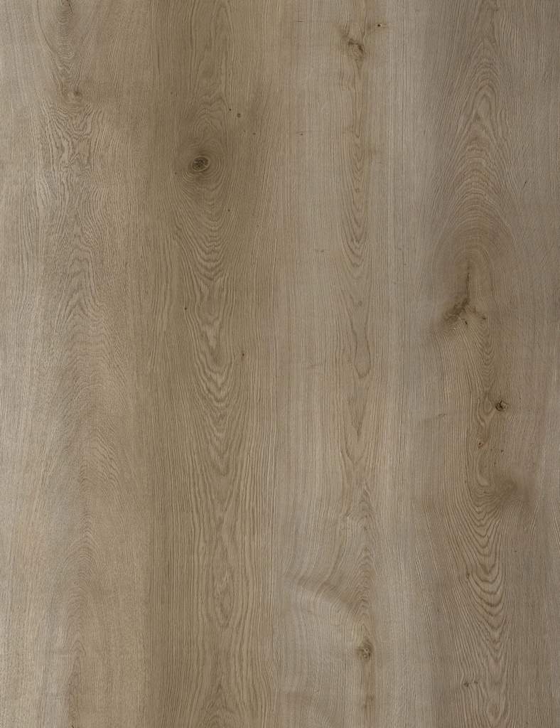 SPC Element Pro Basel Oak