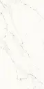 Carrara Gold Mate-4.webp