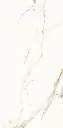 Carrara Gold Mate-2.webp