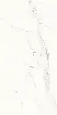 Carrara Gold Mate-3.webp