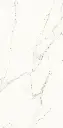 Carrara Gold Mate-6.webp