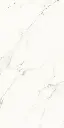 Carrara Gold Mate-5.webp
