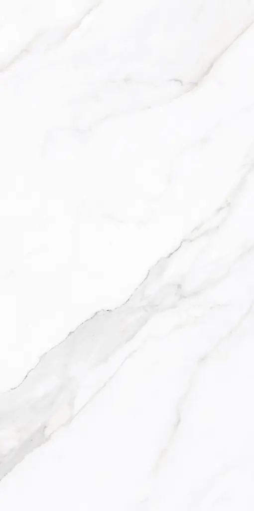 Zara Blanco_1.webp