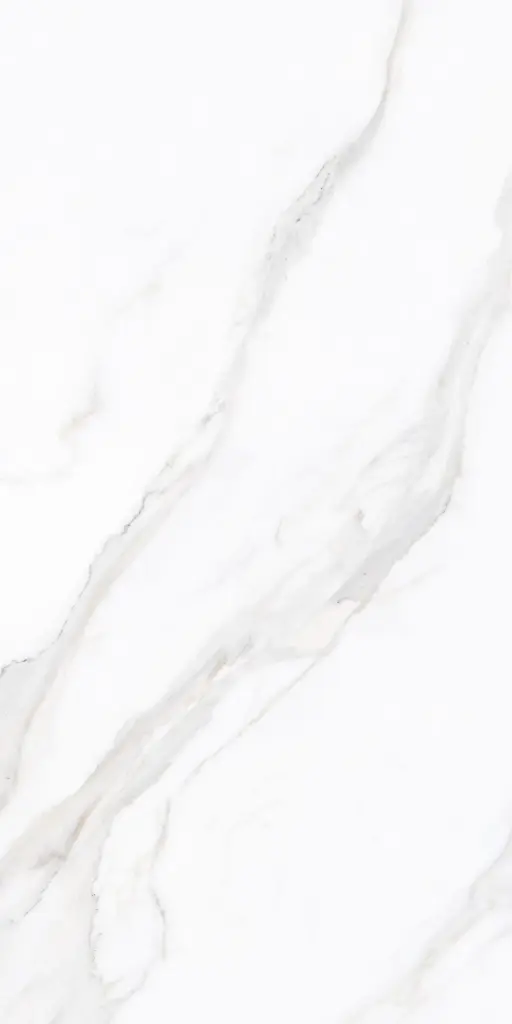 Zara Blanco_6.webp