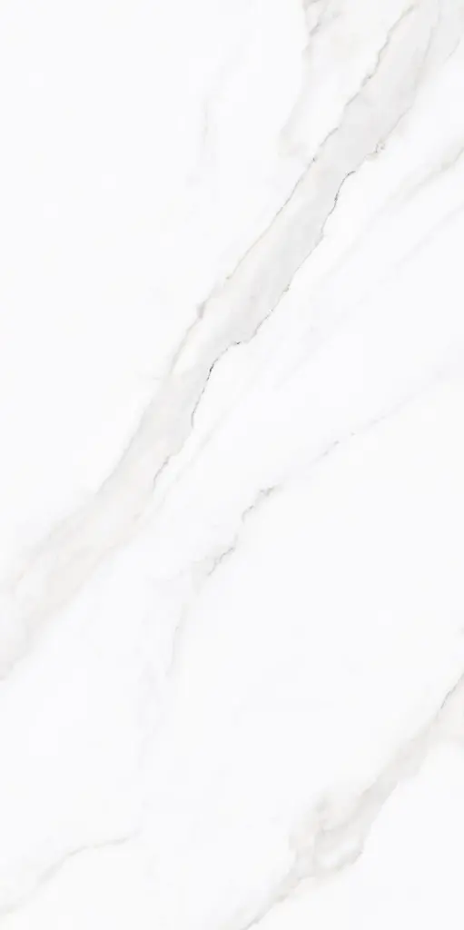 Zara Blanco_2.webp