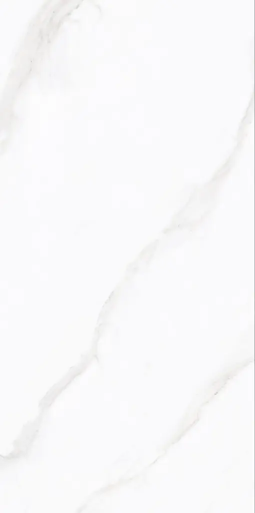 Zara Blanco_5.webp