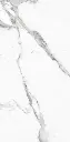 Perla Blanco Pulido_4.webp