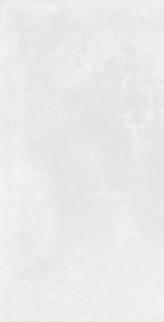 60x120 ORGANIC WHITE_L01.webp