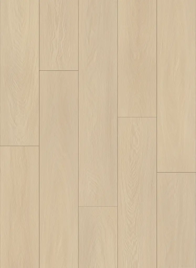 Extreme Sundance Plank_1.webp