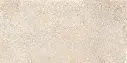 Legacy Beige 59,5x119,2 2.webp