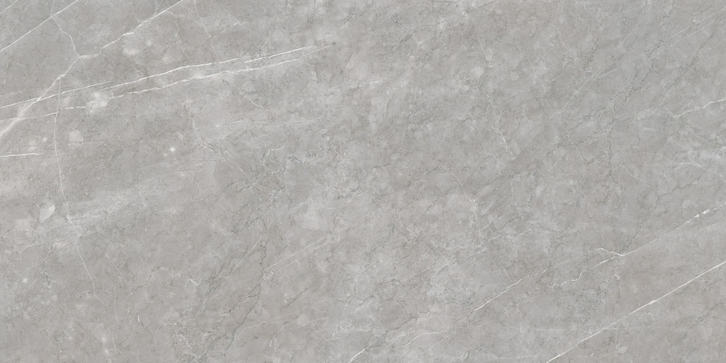 Aran Grey Polished 24X48