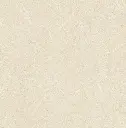 PINOSO-LIGHT-100X100 (7).webp