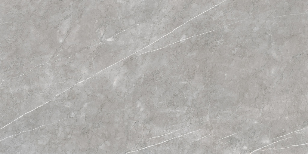Aran Grey Polished 24X48