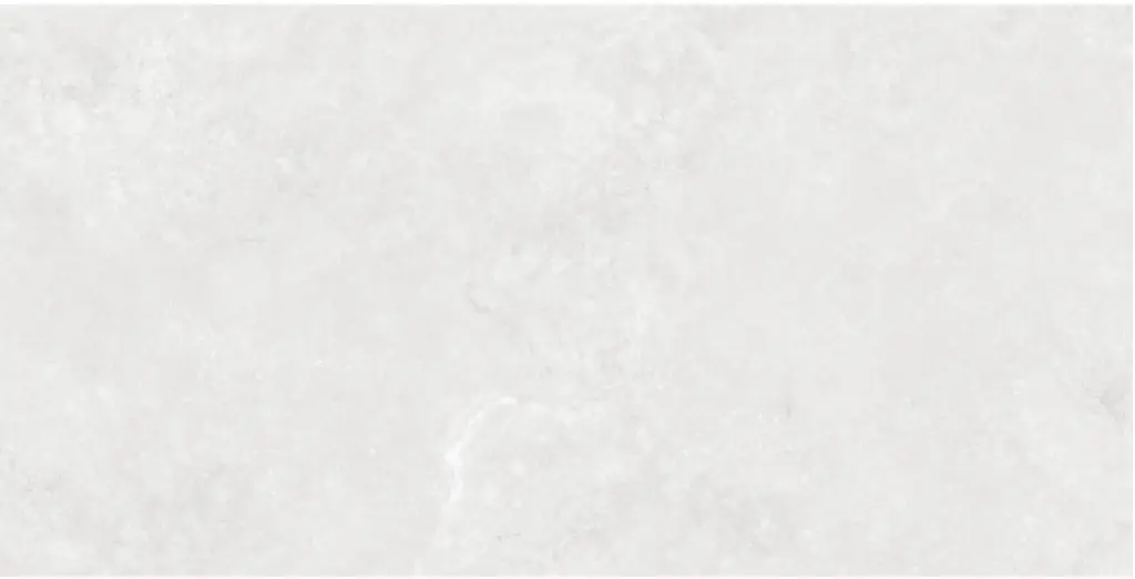 Corezzi Light Grey 24x48_2.webp