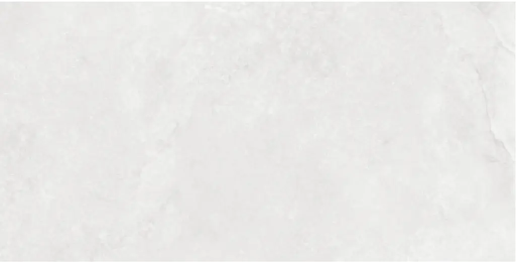 Corezzi Light Grey 24x48_8.webp