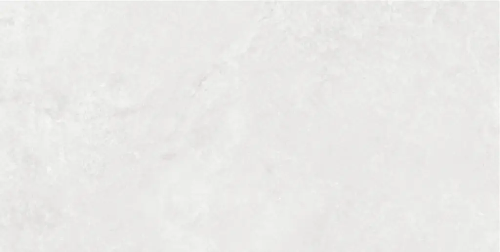 Corezzi Light Grey 24x48_11.webp