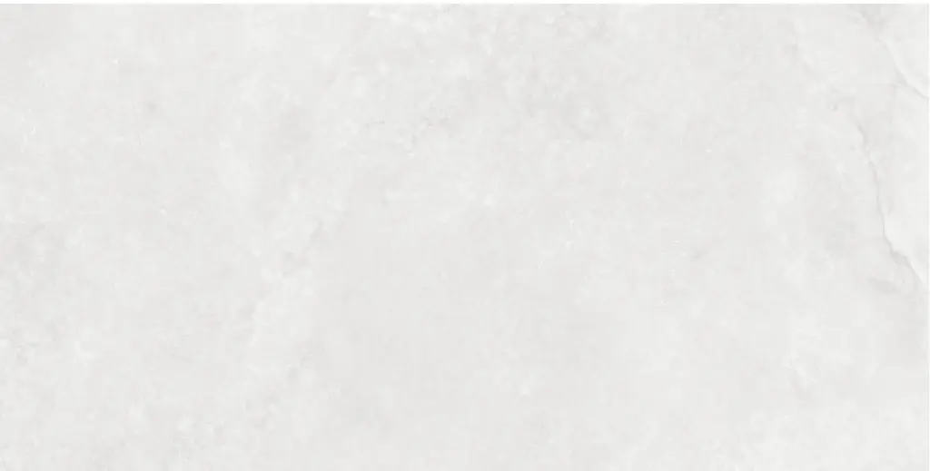 Corezzi Light Grey 24x48_4.webp