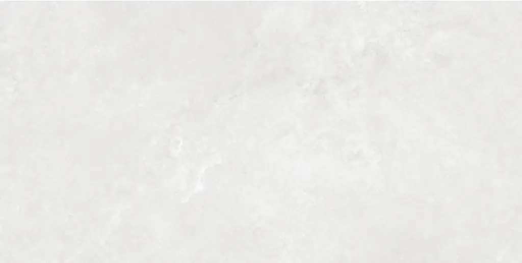 Corezzi Light Grey 24x48_7.webp