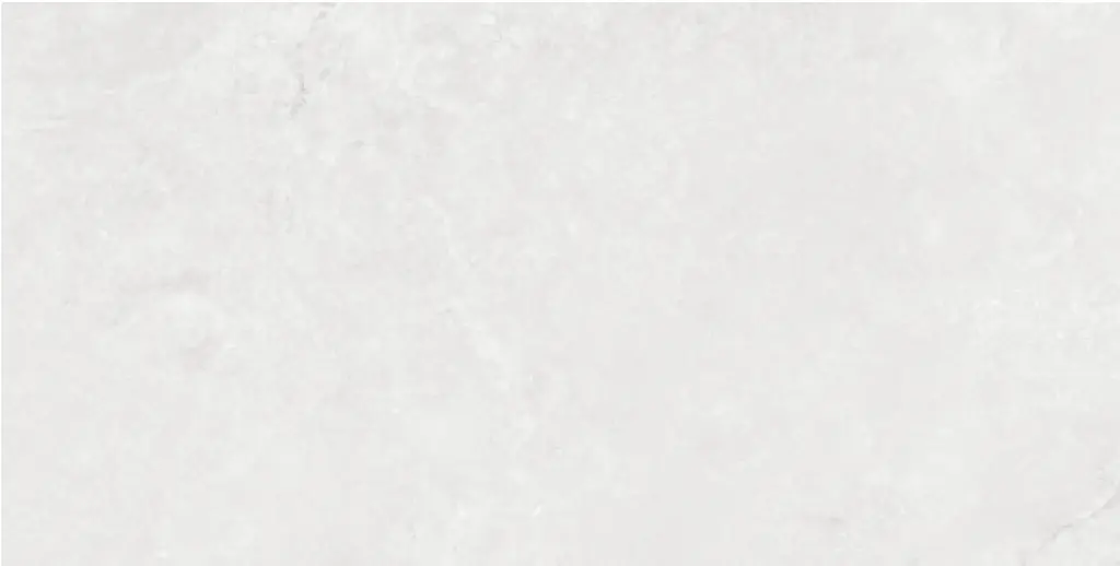 Corezzi Light Grey 24x48_6.webp