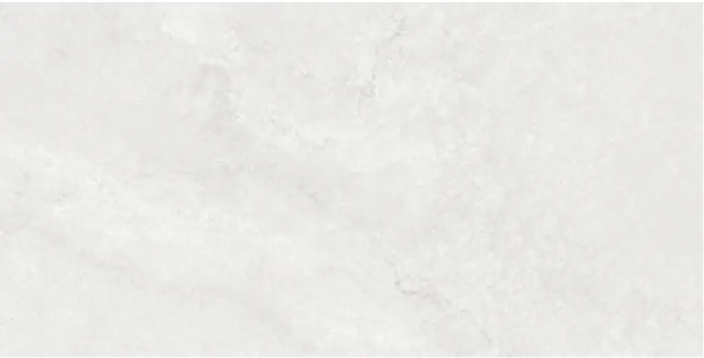 Corezzi Light Grey 24x48_12.webp
