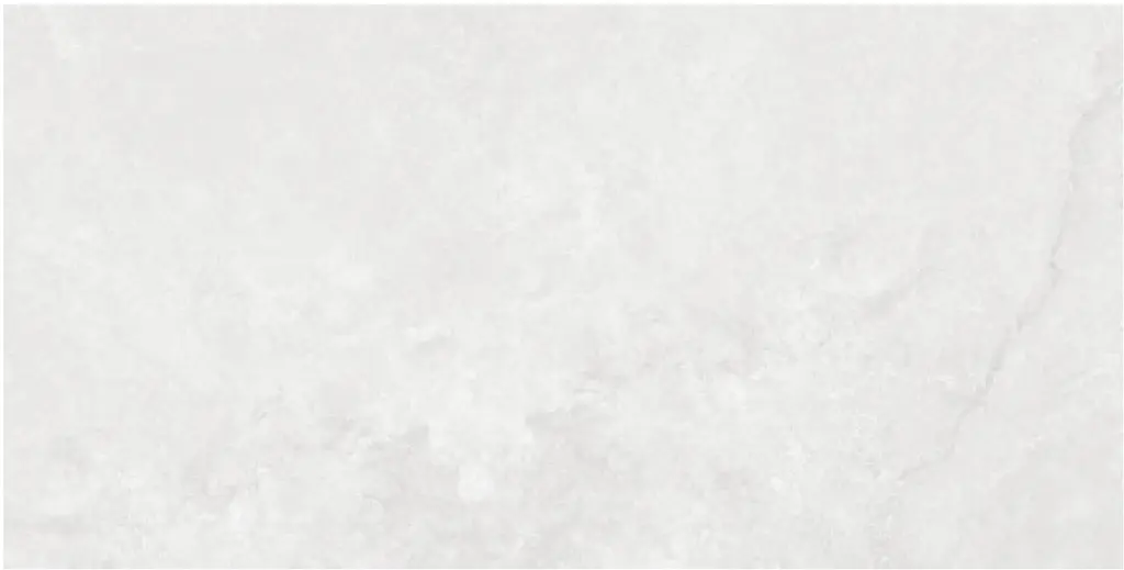 Corezzi Light Grey 24x48_9.webp