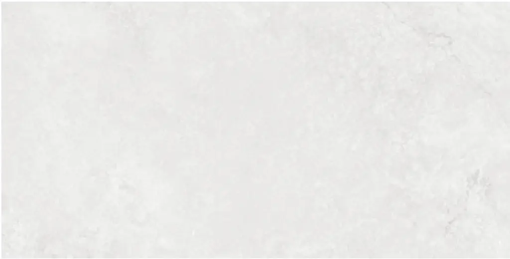 Corezzi Light Grey 24x48_5.webp
