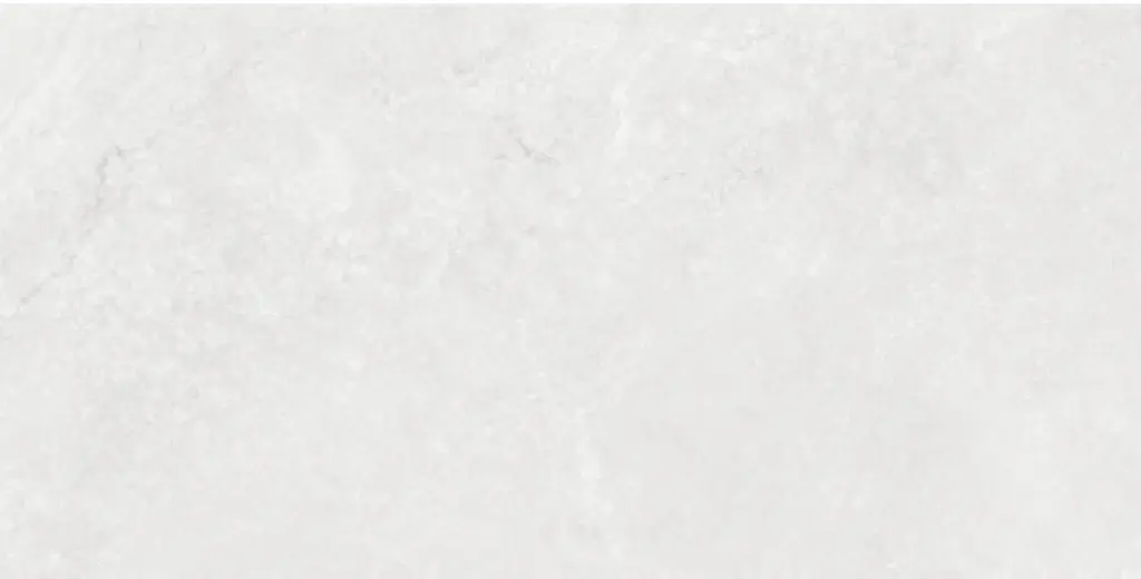 Corezzi Light Grey 24x48_3.webp