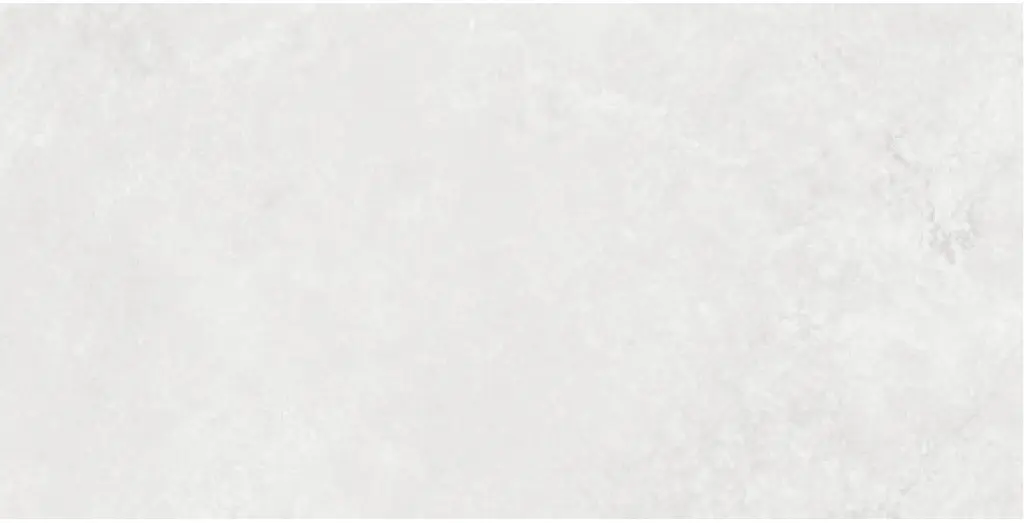 Corezzi Light Grey 24x48_1.webp
