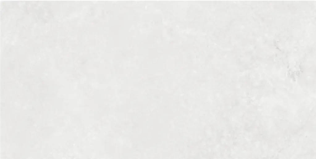 Corezzi Light Grey 24x48_10.webp
